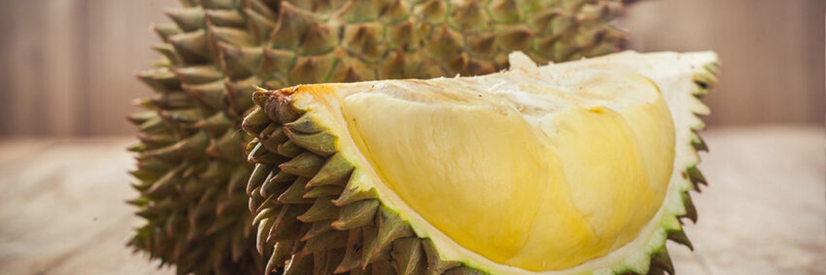 Durian la fruta más apestosa del mundo