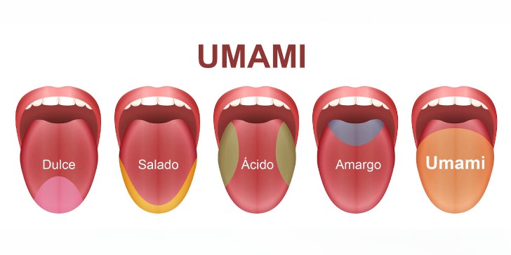 Umami: El Quinto Sabor fuera de los sabores comunes, del que muy pocos saben.