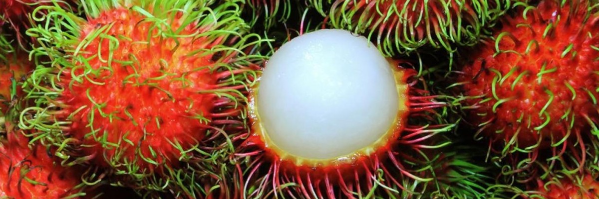 Litchi o Rambután: La exótica fruta que tiene múltiples beneficios para tu salud.