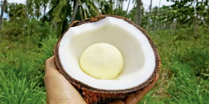Manzana de Coco: Una Delicia Exótica con Sorprendentes Beneficios