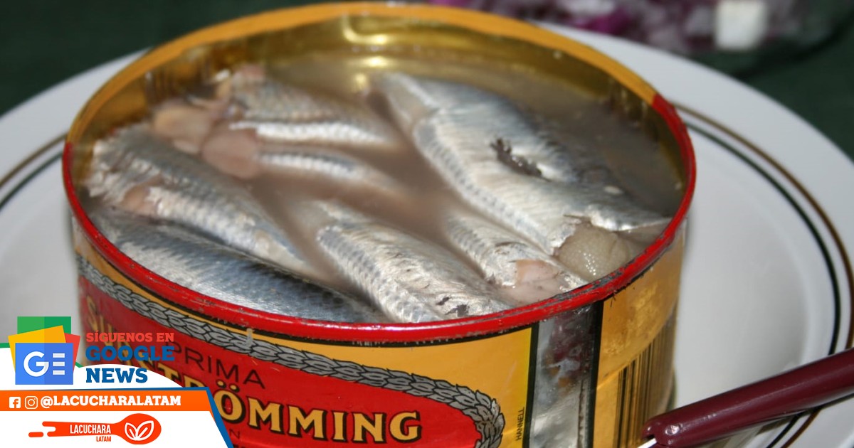 Acaracolados - Surströmming El famoso pescado apestoso de Suecia Es arenque  fermentado y solo se vende el latas. Tiene mala fama por el olor que sale  de la lata al abrirla (